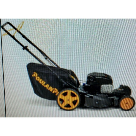 Poulan Pro 22