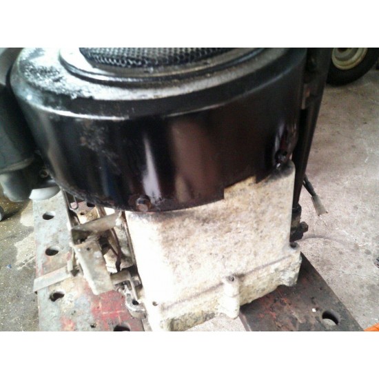 12.5 Briggs & Stratton 垂直轴割草机的引擎 289707 0168 01