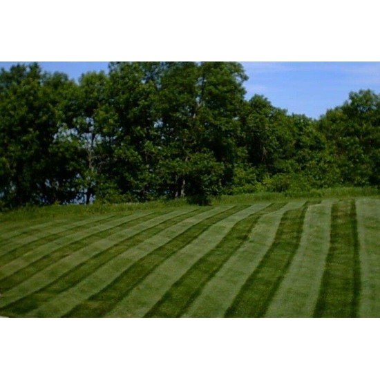 Lawn Striping Kit for Pre-2009 Exmark Lazer HP 52