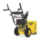 Champion Two Stage Gas Snow Blower 24