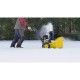 Champion Two Stage Gas Snow Blower 24