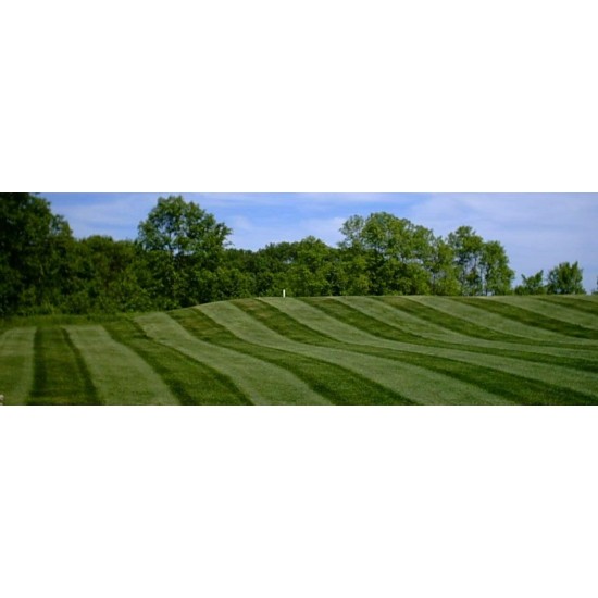Lawn Turf Striper Grass Striping Kit for Pre-2009 Exmark Lazer HP 48