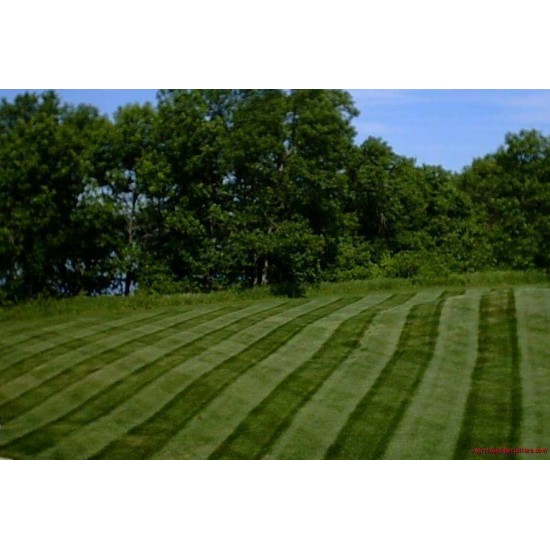 Lawn Striper Grass Lawn Striping Kit Toro TimeCutter 18-44 ZX 44