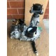 Genuine HYDRO GEAR OEM TRANSMISSION Transaxle ZL-KCEE-3K5A-1