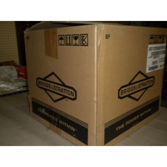 Briggs & Stratton 550 Series Model 083132-0036B1 NEW in Box