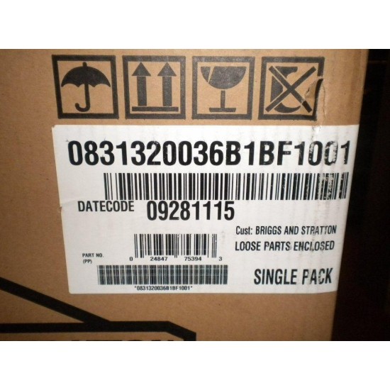 Briggs & Stratton 550 Series Model 083132-0036B1 NEW in Box