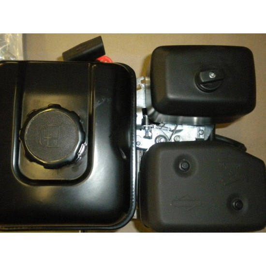 Briggs & Stratton 550 Series Model 083132-0036B1 NEW in Box