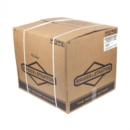 Briggs and Stratton 31R976-0016-G1 17.5 GHP Vertical Shaft Engine