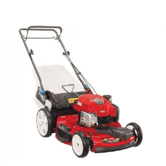 GAS LAWN MOWER 22