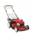 GAS LAWN MOWER 22