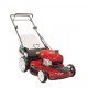 GAS LAWN MOWER 22