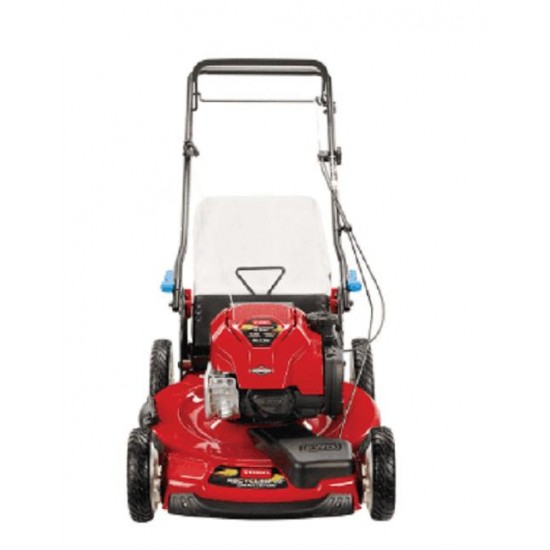 GAS LAWN MOWER 22