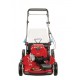 GAS LAWN MOWER 22