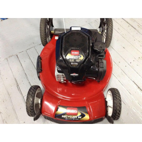 TORO RECYCLER 22