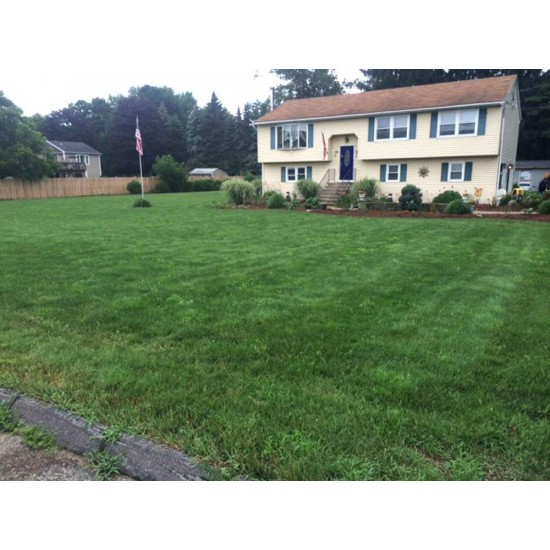 Lawn Grass Striper Kit for 06 John Deere 727A Z-Trak with 54