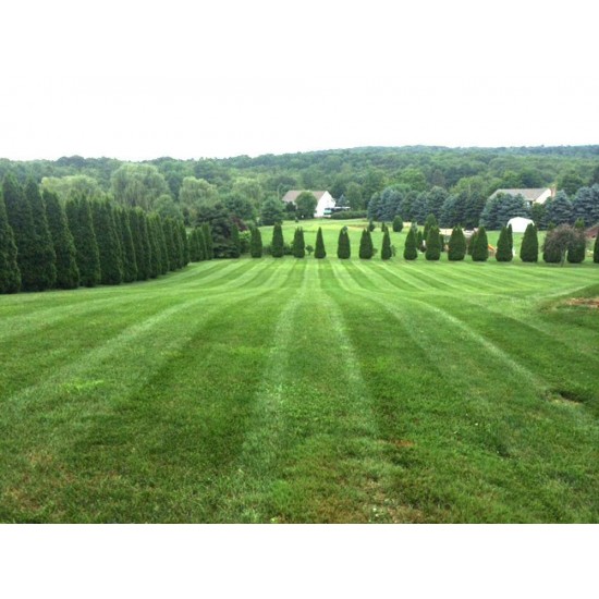 Lawn Grass Striper Kit for 06 John Deere 727A Z-Trak with 54