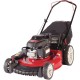 21 in. 160 cc Gas Walk Behind Push Mower with High Rear Wheels and 3in1 Cutting