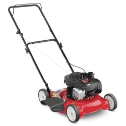 20 In. 125 Cc Ohv Briggs And Stratton Gas Walk Behind Push Mower
