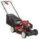 21 in. 159 cc gas walk behind self propelled lawn mower with check don't ch