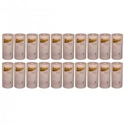 Pentek DGD-2501 1 Micron Whole House 10 Inch Sediment Water Filter 20 Pack