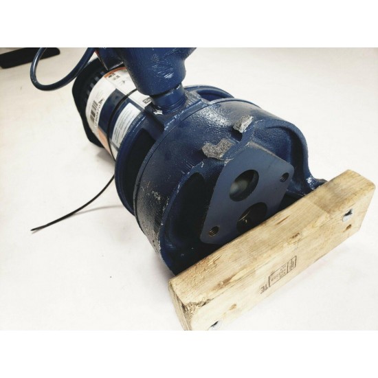 SSJD - Sta-Rite Vertical Deep Well Jet Pump (SCRATCH & DENT)
