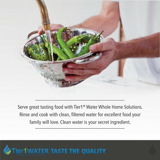 Tier1 Series 8000 Whole Home Salt Free Water Softener Replacement Media Kit and