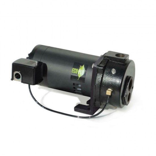 1 hp convertible deep well jet pump