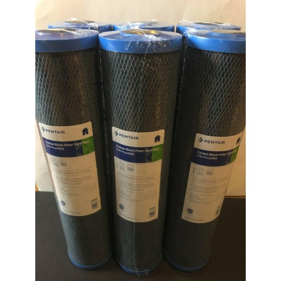 Pentek CFB-PLUS20BB 5 Micron Big Blue 20 Inch Fibredyne Carbon Filter - 6 PACK