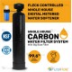 Pentair Fleck Controlled Whole House Carbon Water Filter System +Big Blue Filter