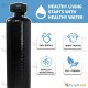 Pentair Fleck Controlled Whole House Carbon Water Filter System +Big Blue Filter