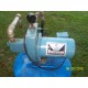 1/2 hp well pump
