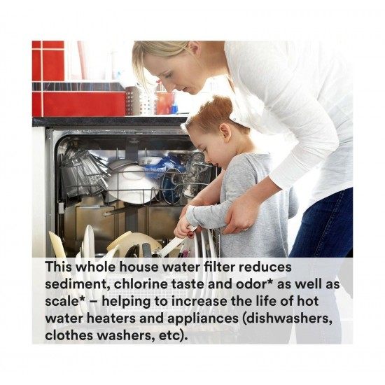 Aqua Pure House Sanitary Change Replacement Water Filter Appliance Protection