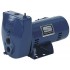 Jet Pump Deep Well 1hp,No SLE-1,  Sta-Rite Industries