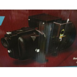 SHALLOW WELL PUMP 1HP  TS10