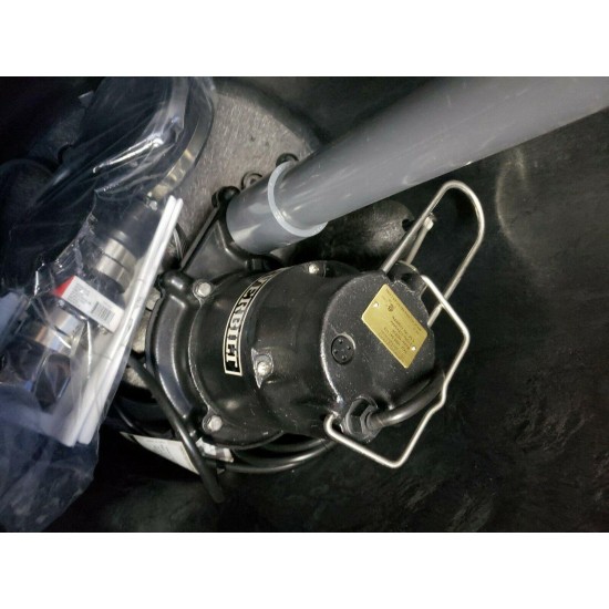 Everbilt Preplumbed 1/3 Sub Pump System