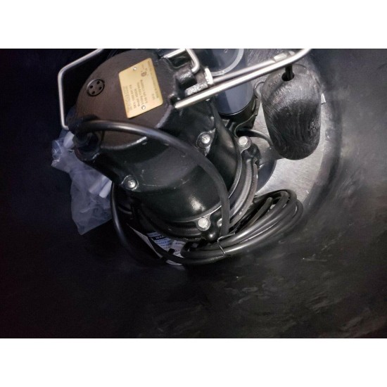 Everbilt Preplumbed 1/3 Sub Pump System