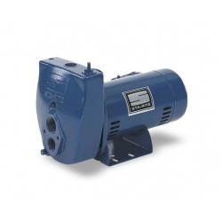 SLE-L- 1 HP Sta-Rite Deep Well Water Pump