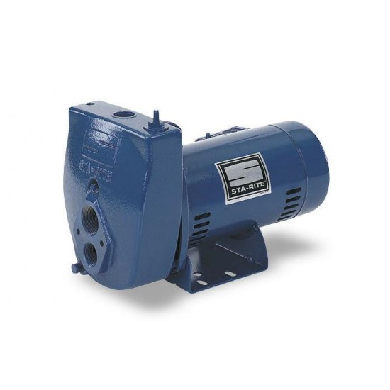 SLE-L- 1 HP Sta-Rite Deep Well Water Pump