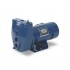 SLE-L- 1 HP Sta-Rite Deep Well Water Pump