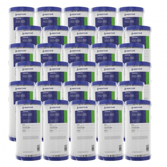 Pentek R50-BB 50 Micron 10 x 4.5 Whole House Pleated Sediment Filter 30 Pack