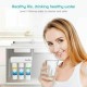 Reverse Osmosis Water Filtration Filter System Under Sink/Countertop/Whole House