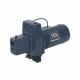 Sta-Rite FND Cast Iron Self-priming Shallow Well Jet Pump 3/4 HP