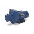 SND-L- 3/4 HP Sta-Rite Shallow Well Water Pump