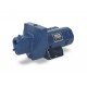 SND-L- 3/4 HP Sta-Rite Shallow Well Water Pump