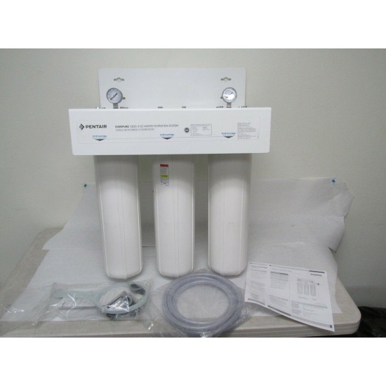 Everpure EV910037 CB20-312E Chloramine Reduction System