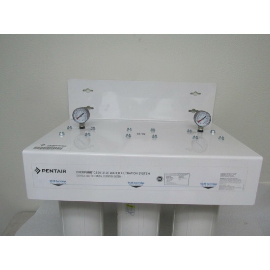 Everpure EV910037 CB20-312E Chloramine Reduction System