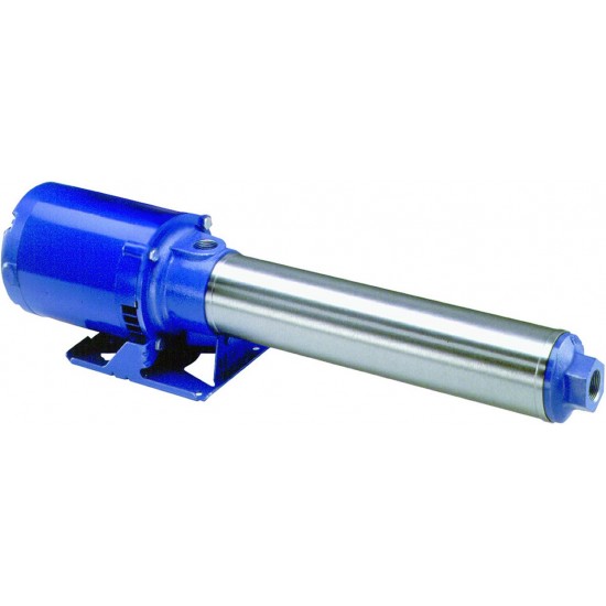 Goulds Pumps 10GBS1514Q4 GB Series 15 Stage Stainless Steel 1 Phase Booster Pump
