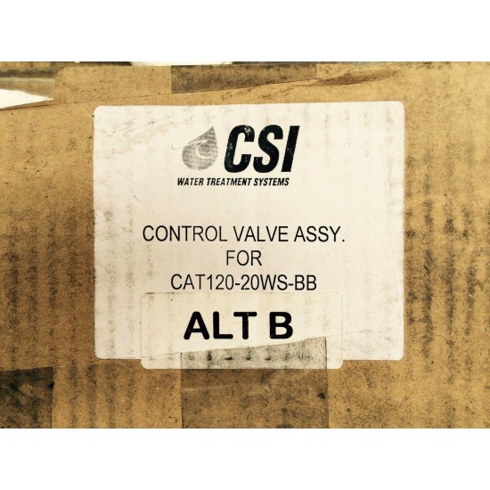 Water softener control valve - CSI Control valve ASSy. for CAT120-20WS-BB