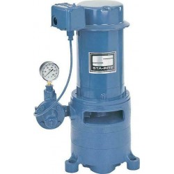 Sta-Rite MSE  DEEP WELL Jet Pump 115/230 V CAST IRON 1-1/4 in Suction 1