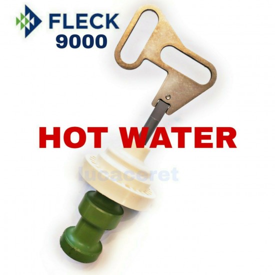 Genuine Top Piston Assembly Fleck 9000